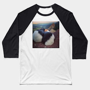 Guinea Pigs Baseball T-Shirt